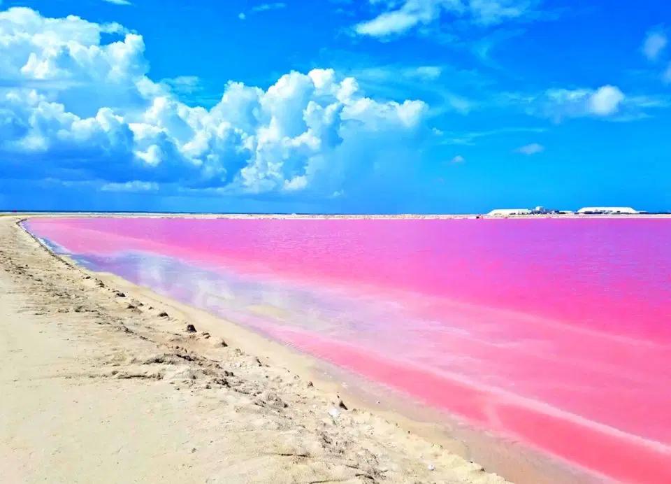 Manglares de Yucatán
