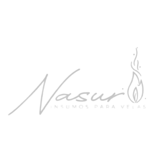 nasur logo mono nasur logo mono